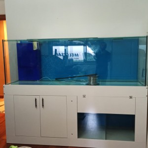 alt_1Maltepe Akvaryum Petshop | Canlı Balık, Akvaryum & Kuş Malzemeleri