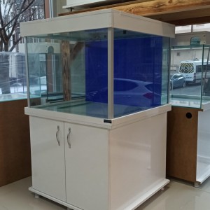 alt_1Maltepe Akvaryum Petshop | Canlı Balık, Akvaryum & Kuş Malzemeleri