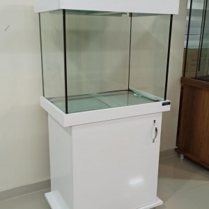 alt_1Maltepe Akvaryum Petshop | Canlı Balık, Akvaryum & Kuş Malzemeleri