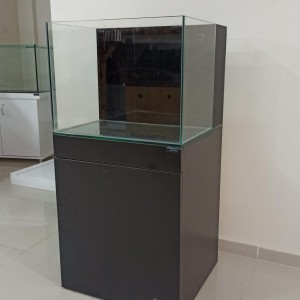 alt_1Maltepe Akvaryum Petshop | Canlı Balık, Akvaryum & Kuş Malzemeleri