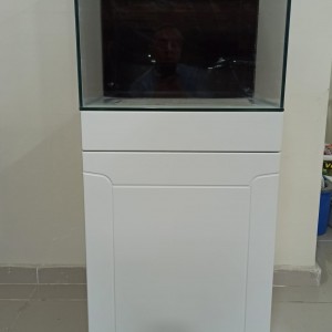 alt_1Maltepe Akvaryum Petshop | Canlı Balık, Akvaryum & Kuş Malzemeleri