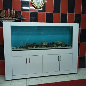 alt_1Maltepe Akvaryum Petshop | Canlı Balık, Akvaryum & Kuş Malzemeleri