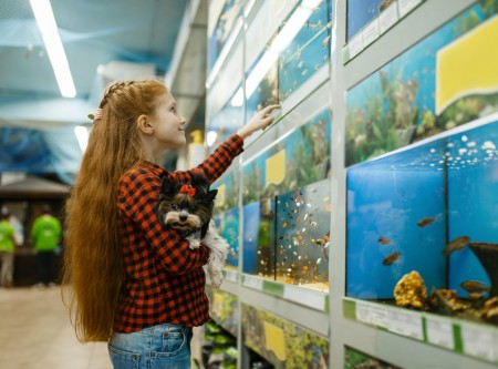 Akvaryum Kurulum Rehberi: Kendi Su Altı Cennetinizi Yaratın