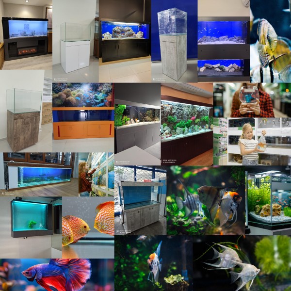 Maltepe Akvaryum Petshop | Canlı Balık, Akvaryum & Kuş Malzemeleri