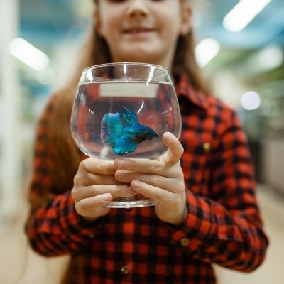 Maltepe Akvaryum Petshop | Canlı Balık, Akvaryum & Kuş Malzemeleri