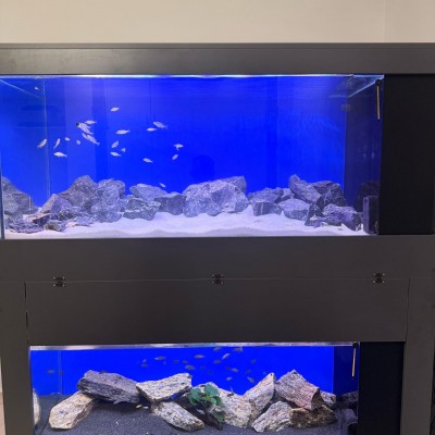 Maltepe Akvaryum Petshop | Canlı Balık, Akvaryum & Kuş Malzemeleri