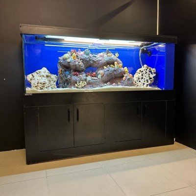 Maltepe Akvaryum Petshop | Canlı Balık, Akvaryum & Kuş Malzemeleri