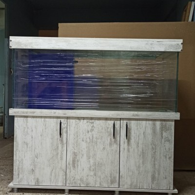 Maltepe Akvaryum Petshop | Canlı Balık, Akvaryum & Kuş Malzemeleri