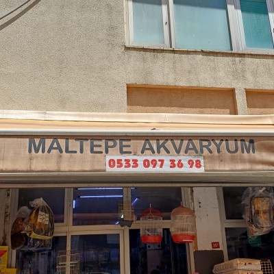 Maltepe Akvaryum Petshop | Canlı Balık, Akvaryum & Kuş Malzemeleri