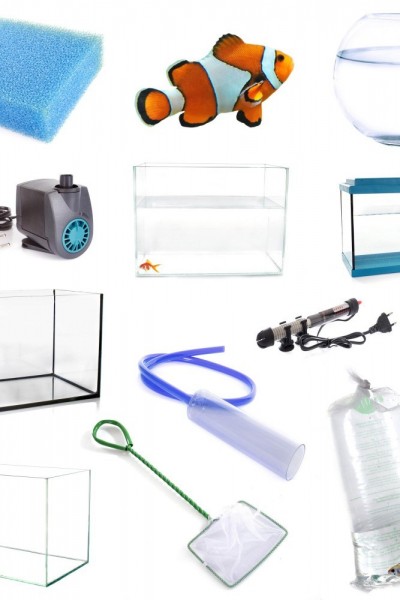 Akvaryum Ekipmanları